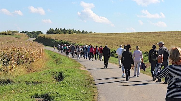 BELLE SOLIDARITÉ – Les vignerons de Chalosse marchent contre le cancer